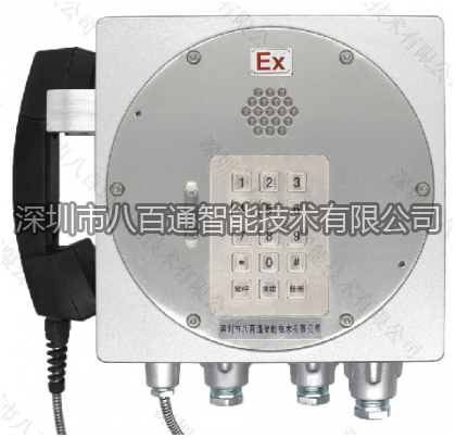 IP擴(kuò)音網(wǎng)絡(luò)防爆電話(huà)機(jī)-工業(yè)防爆擴(kuò)音電話(huà)機(jī)系列